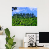 Norfolk Island Pine Trees Poster (Heimbüro)