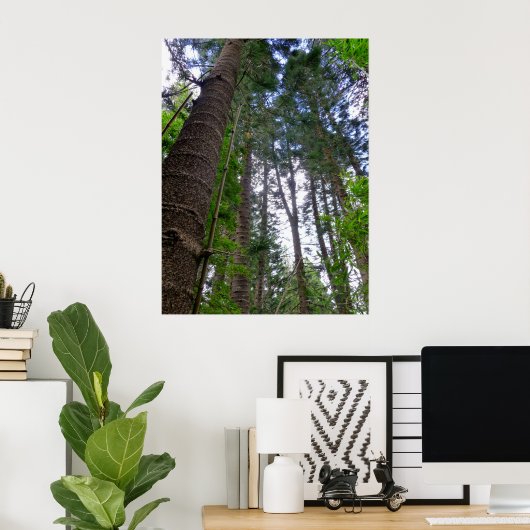Norfolk Island Pine Trees Poster (Heimbüro)