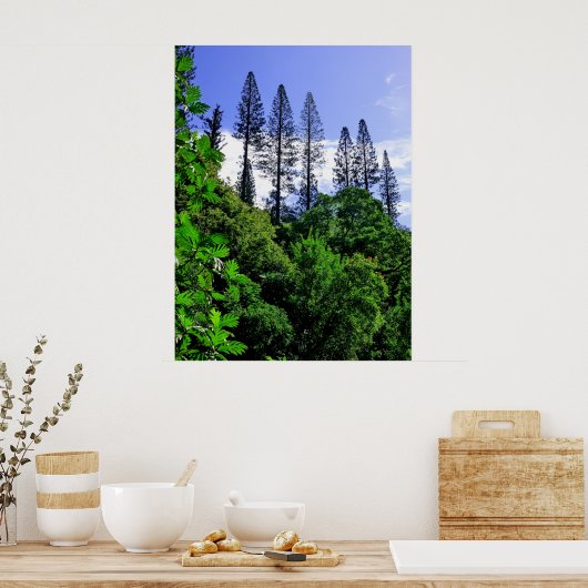 Norfolk Island Pine Trees Poster (Küche)