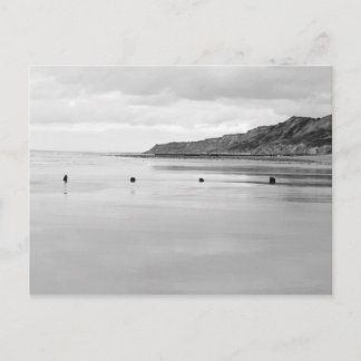 Norfolk Shore Postkarte