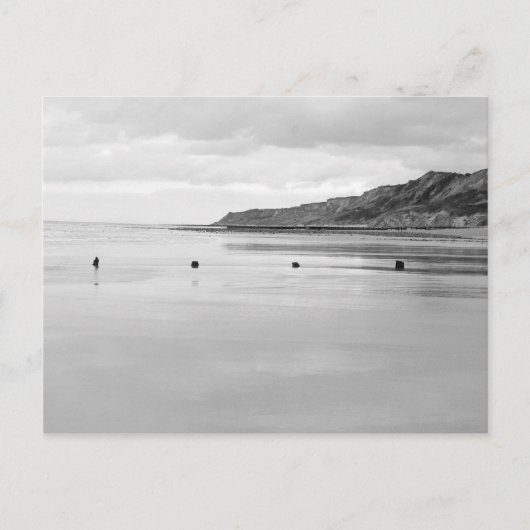 Norfolk Shore Postkarte (Vorderseite)