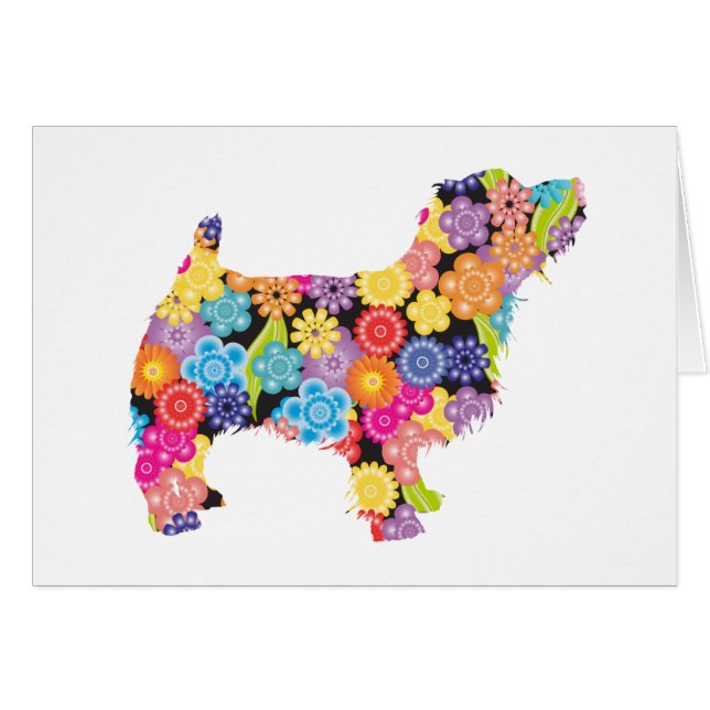 Norfolk Terrier (Vorderseite (Horizontal))