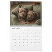 Norfolk Terrier 2027 Wandkalender (Mär 2027)