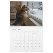 Norfolk Terrier 2027 Wandkalender (Jan 2027)
