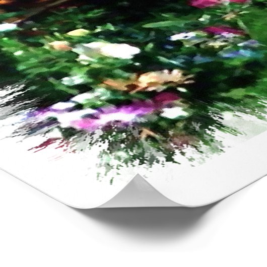 Norfolk Terrier Art Print Poster (Ecke)