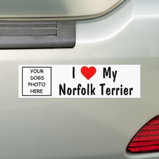 Norfolk Terrier Autoaufkleber (Auf Auto)