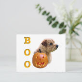Norfolk Terrier Boo Postkarte (Stehend Vorderseite)