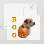 Norfolk Terrier Boo Postkarte (Vorne/Hinten)
