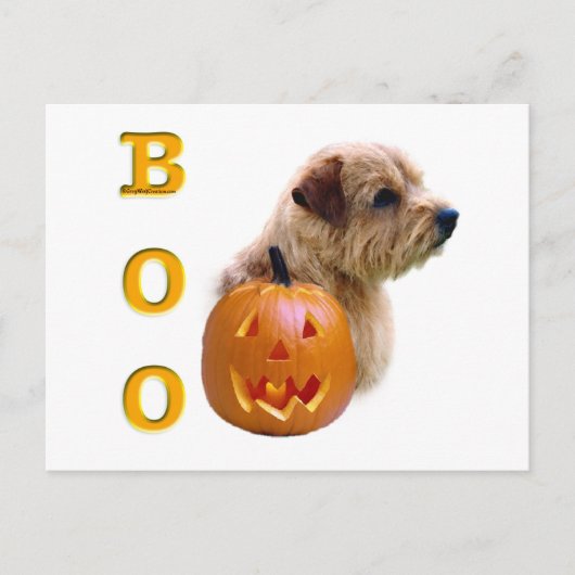 Norfolk Terrier Boo Postkarte (Vorderseite)