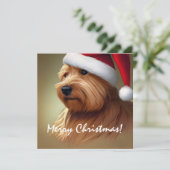 Norfolk Terrier Christmas (Stehend Vorderseite)