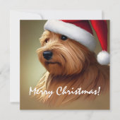 Norfolk Terrier Christmas (Vorderseite)