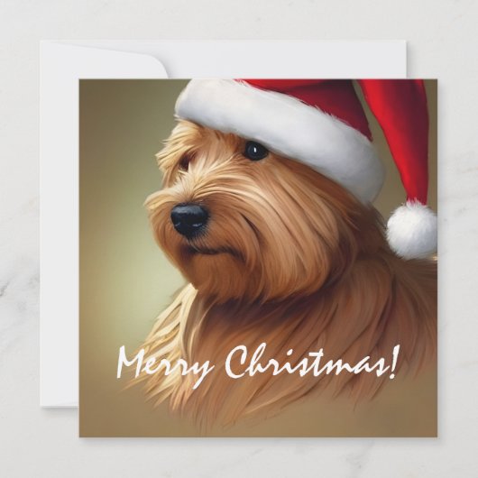 Norfolk Terrier Christmas (Vorderseite)