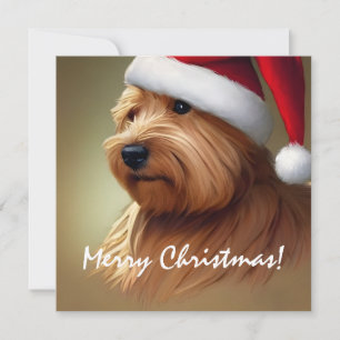 Norfolk Terrier Christmas