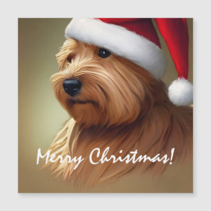 Norfolk Terrier Christmas Magnetkarte
