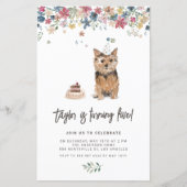 Norfolk Terrier Dog Birthday Einladung (Vorderseite)