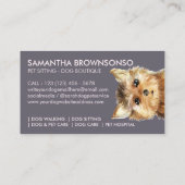 Norfolk Terrier Dog Visitenkarte (Rückseite)