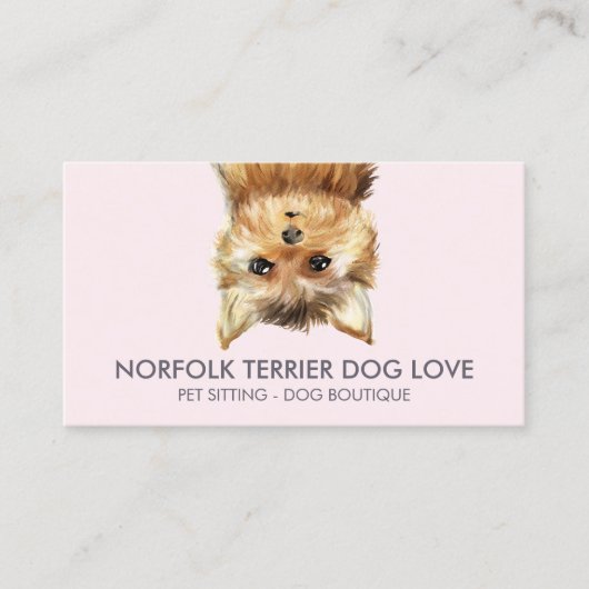 Norfolk Terrier Dog Visitenkarte (Vorderseite)