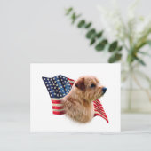 Norfolk Terrier Flag Postkarte (Stehend Vorderseite)