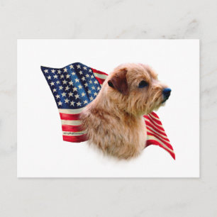 Norfolk Terrier Flag Postkarte