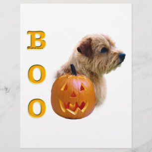 Norfolk Terrier Halloween Boo