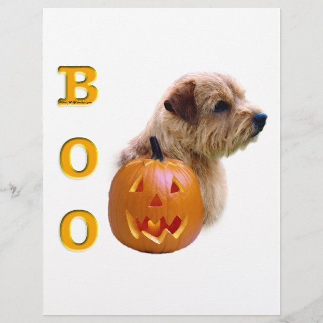 Norfolk Terrier Halloween Boo (Vorderseite)