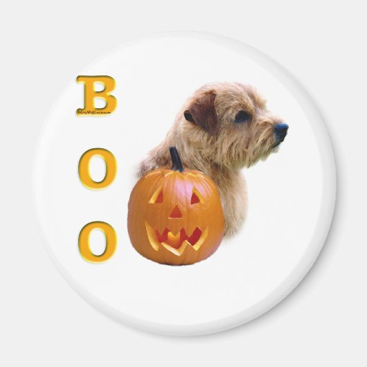 Norfolk Terrier Halloween Boo Magnet (Vorne)