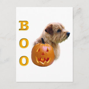 Norfolk Terrier Halloween Boo Postkarte