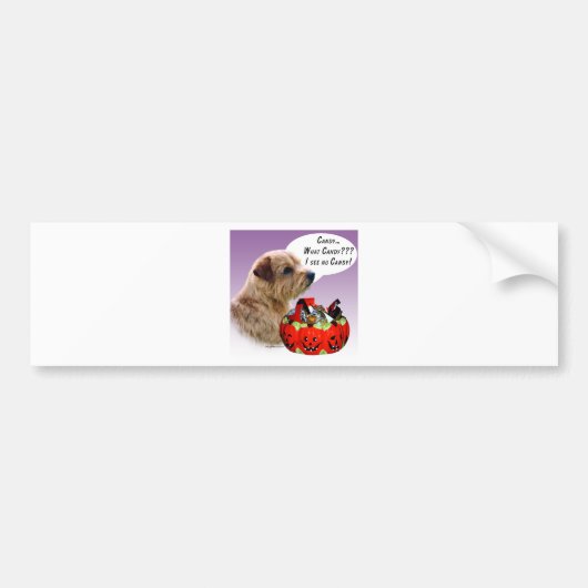 Norfolk Terrier Halloween Candy Autoaufkleber (Vorne)