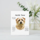 Norfolk Terrier History Design Postkarte (Stehend Vorderseite)