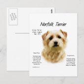 Norfolk Terrier History Design Postkarte (Vorne/Hinten)