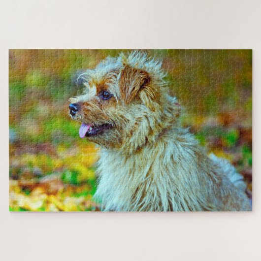 Norfolk Terrier Hund. Puzzle (Horizontal)