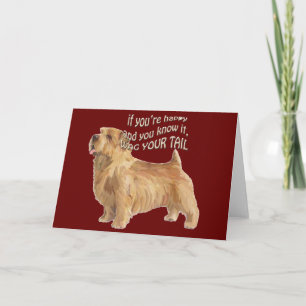 norfolk terrier karte