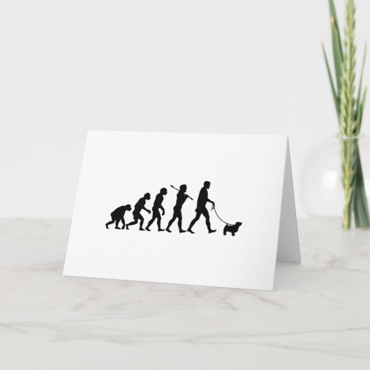 Norfolk Terrier Karte (Vorderseite)