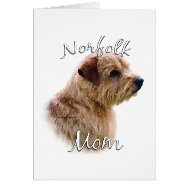 Norfolk Terrier Mama 2 (Vorne)