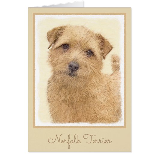 Norfolk Terrier Painting - Original Dog Art (Vorne)