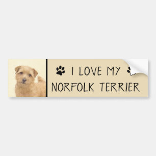 Norfolk Terrier Painting - Original Dog Art Autoaufkleber