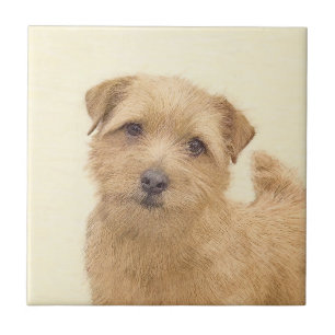 Norfolk Terrier Painting - Original Dog Art Fliese