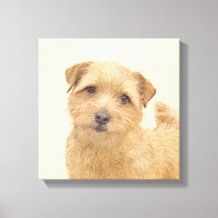 Norfolk Terrier Painting - Original Dog Art Leinwanddruck