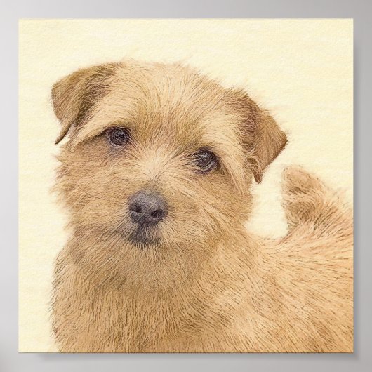 Norfolk Terrier Painting - Original Dog Art Poster (Vorne)