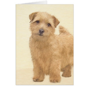 Norfolk Terrier Painting - Original Hund Kunst