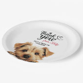 Norfolk Terrier Pappteller (Schrägansicht)