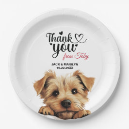 Norfolk Terrier Pappteller