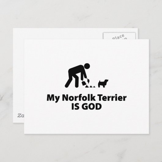 Norfolk Terrier Postkarte (Vorne/Hinten)