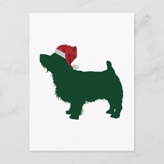 Norfolk Terrier Postkarte (Vorderseite)