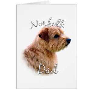Norfolk Terrier Vater 2