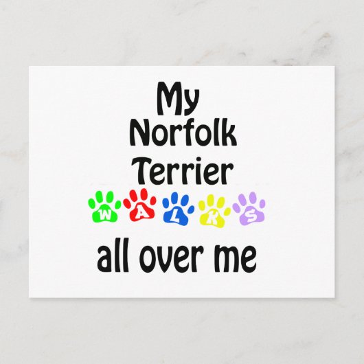 Norfolk Terrier Walks Design Postkarte (Vorderseite)