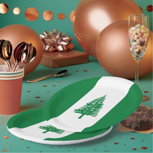 Norfolkinsel-Flagge Pappteller (Multi)