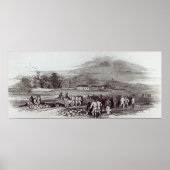 Norfolkinsel Poster (Vorne)