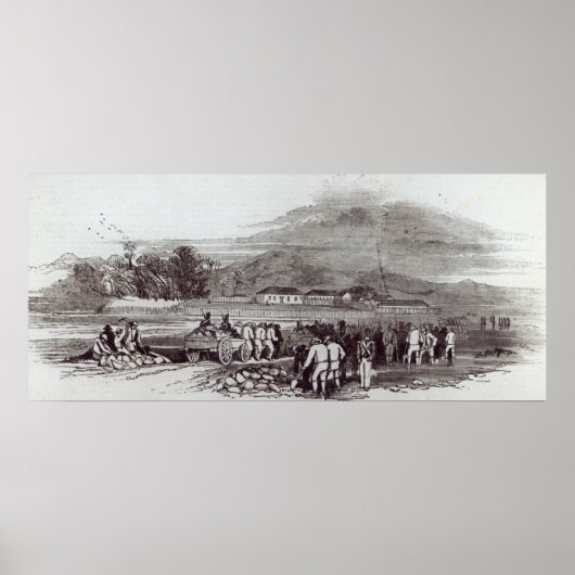 Norfolkinsel Poster (Vorne)