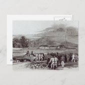 Norfolkinsel Postkarte (Vorne/Hinten)